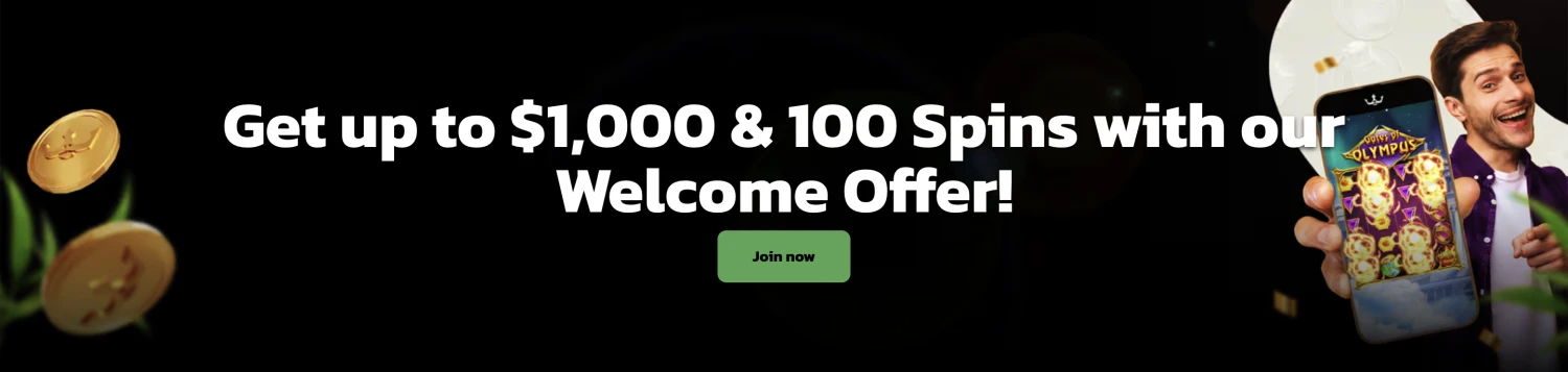 Promotional Banner